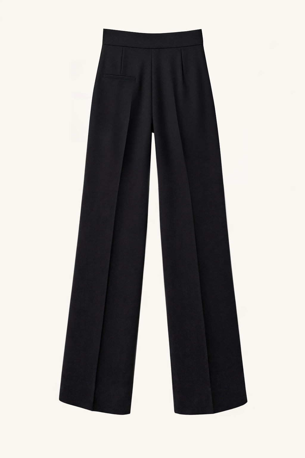 Wide Leg Pleat Pants