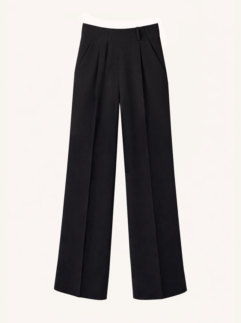 Wide Leg Pleat Pants