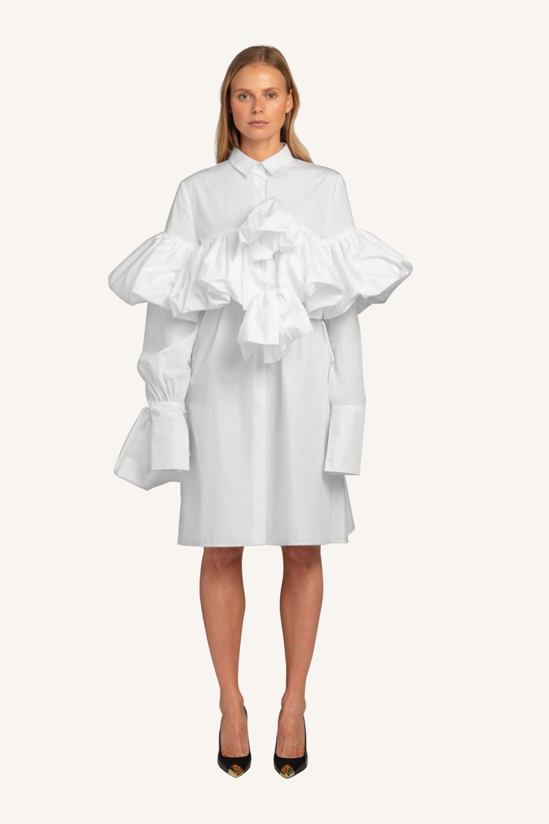 Gathered Tie-Neck Shirt Dress