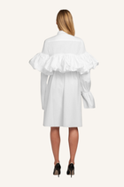 Gathered Tie-Neck Shirt Dress