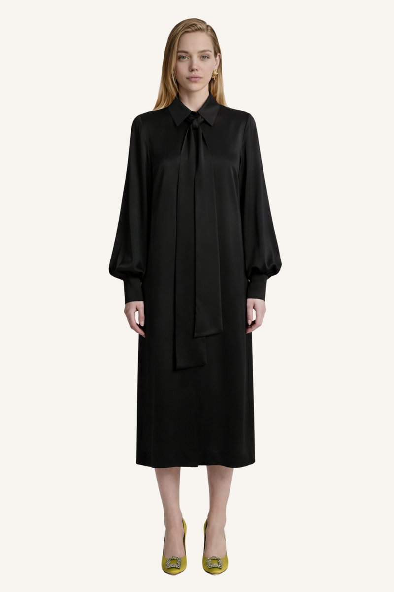 Tie-Neck Shirt Dress