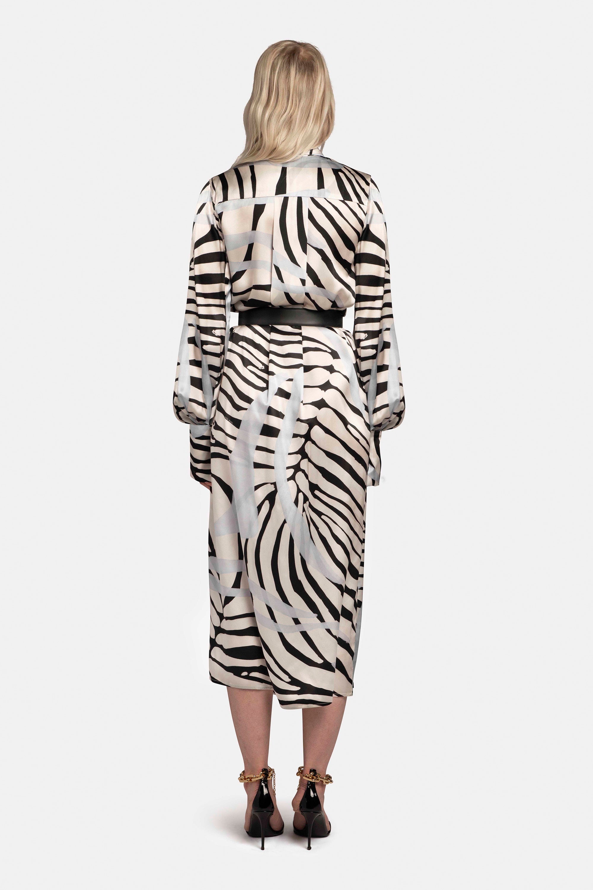 Printed Tie-Neck Shirt Dress