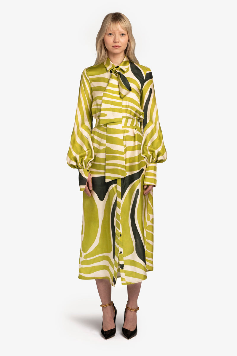 Tie-Neck Shirt Dress