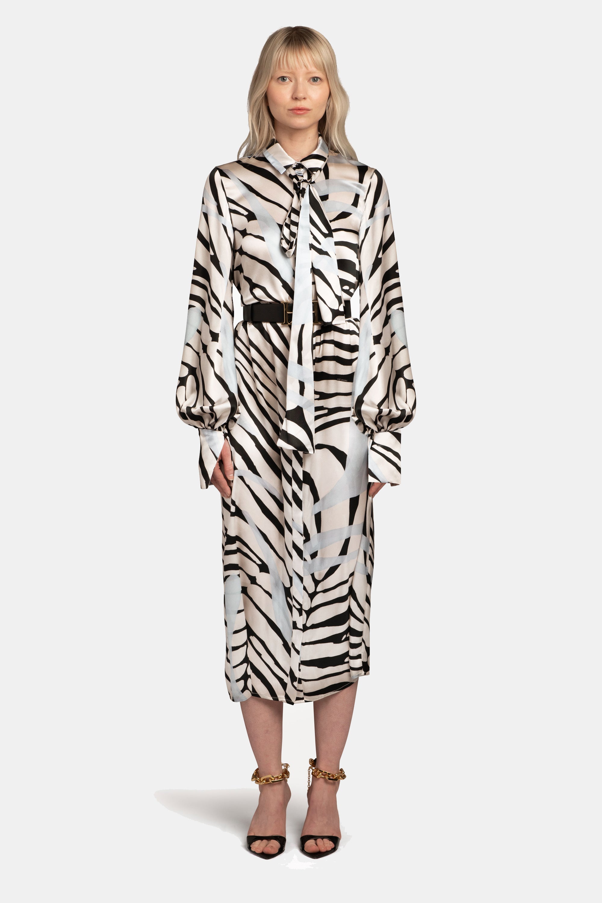 Printed Tie-Neck Shirt Dress