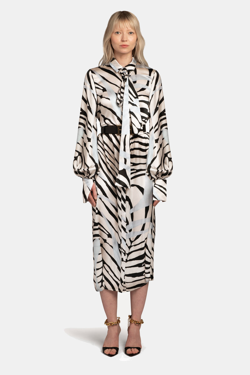 Printed Tie-Neck Shirt Dress